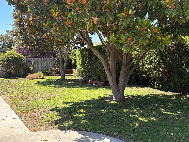 415 Wellington Dr — Photo 20