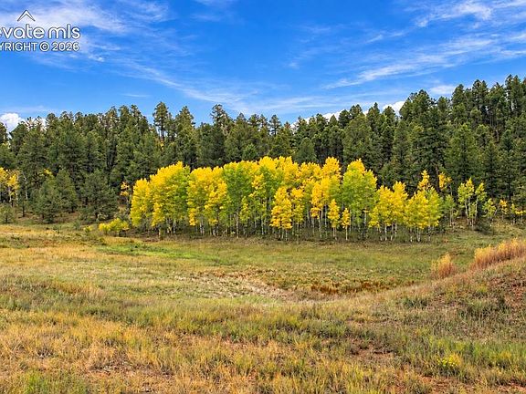 3rd image of Trail Creek Rd