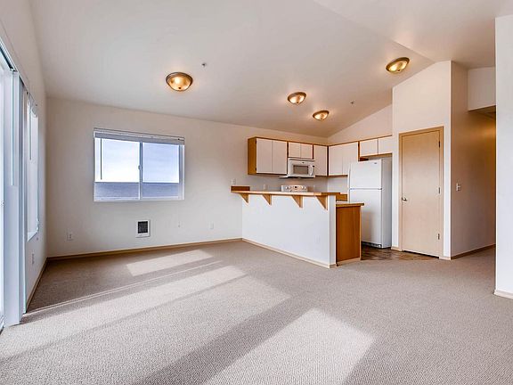 Living room and Kitchen