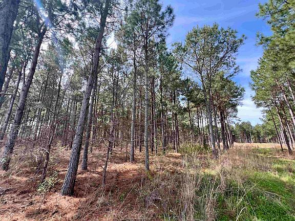 2nd image of Fm 1643
