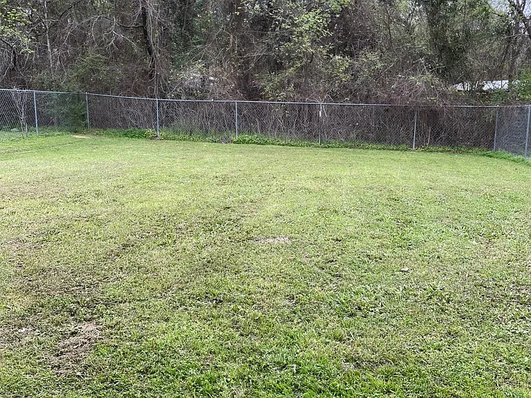 Fenced back yard