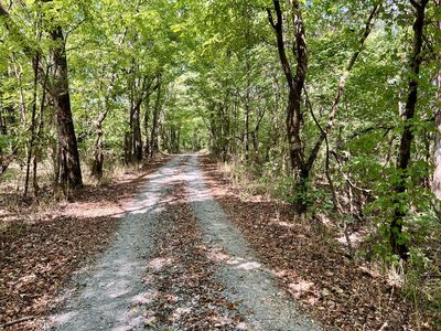 4 McBurg Dellrose Rd, Dellrose, TN, 38453
