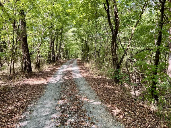 4 McBurg Dellrose Rd, Dellrose, TN 38453