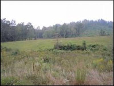 180 Hardwick Rd, Lancing, TN, 37770