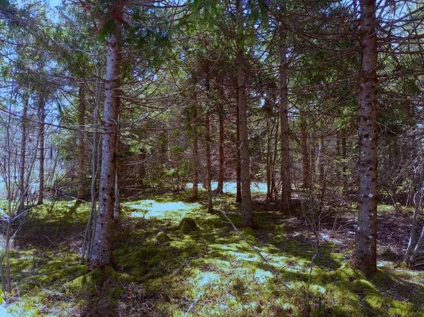 Johnny Cash Ln #14, Cape Breton, NS B1K 0C1