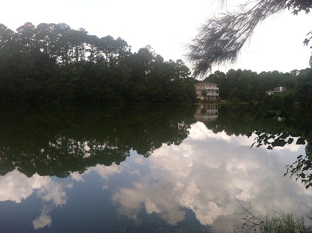 1st image of 105 Palmera Ln