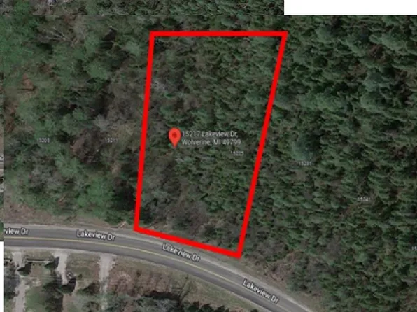 15217 Lakeview Dr, Wolverine, MI 49799