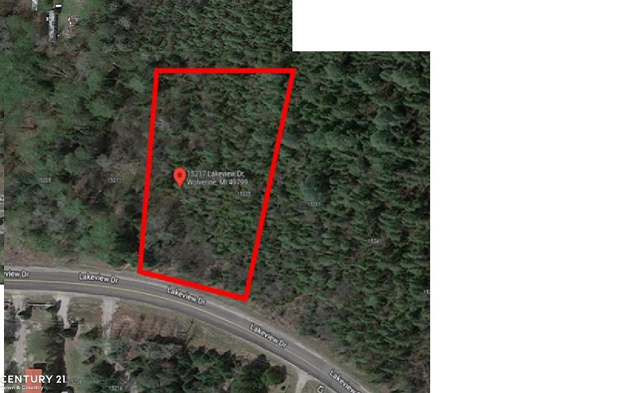 15217 Lakeview Dr photo 1