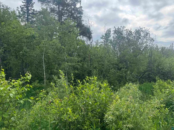 TBD Quaal Rd, Forbes, MN 55738