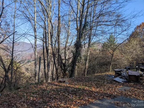 111 Venice Pl, Canton, NC 28716