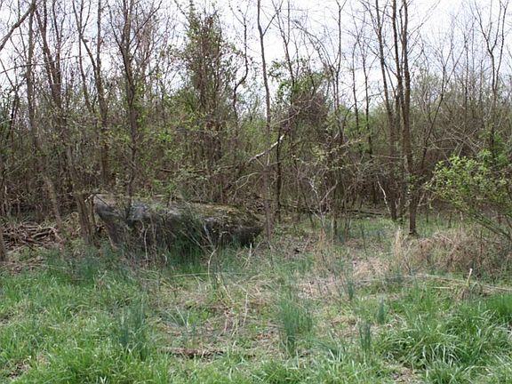 3rd image of 250 Lake Vista Cir