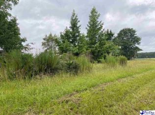 225 Windham Town Rd, Lamar, SC 29069