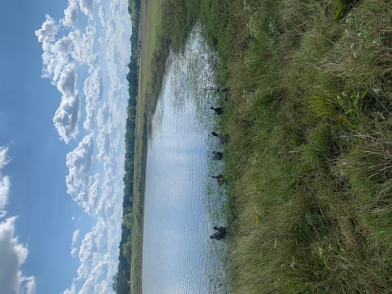 2339 W FM 898 — Photo 41