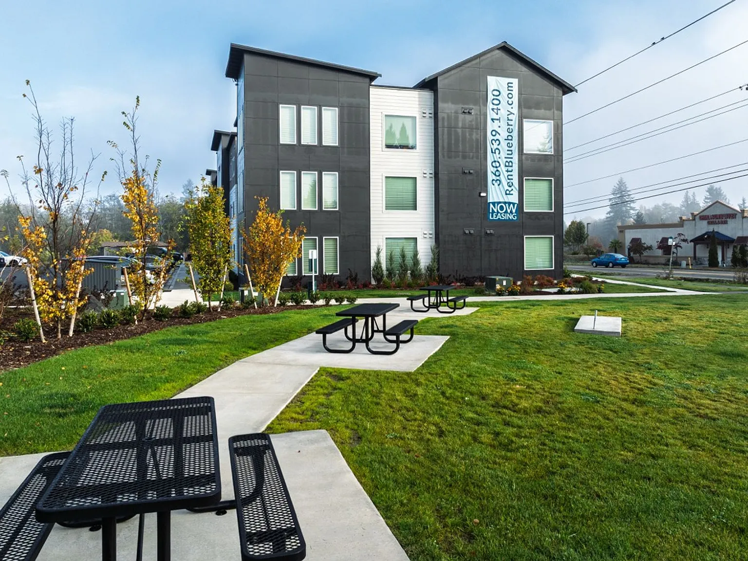 Blueberry Apartments — Photo 4