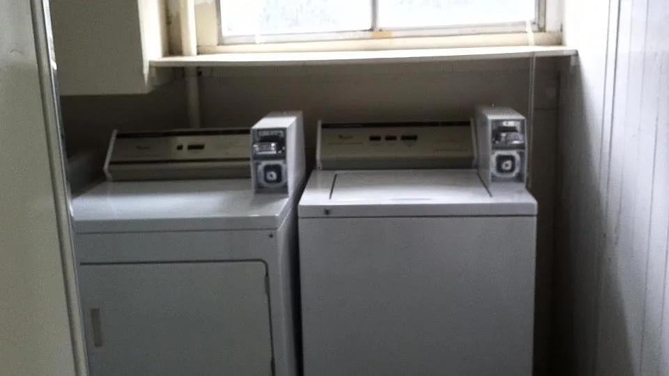 1 bed, 200 sqft, $900 — Photo 3