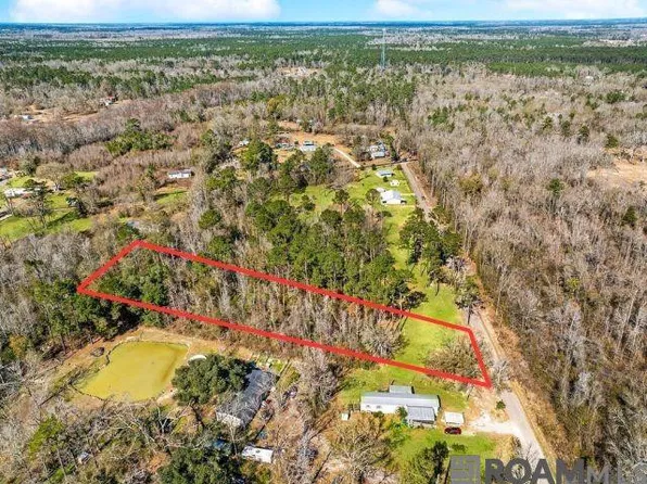 Carthage Bluff Rd, Springfield, LA 70462