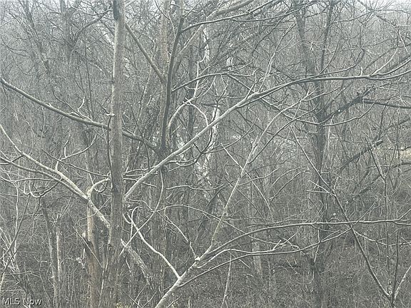 5th image of 231 Big Oak Rd