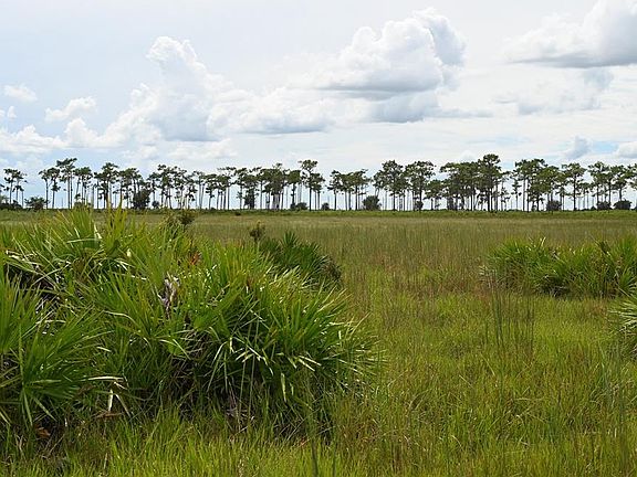 2nd image of County Line Rd E Lot 55