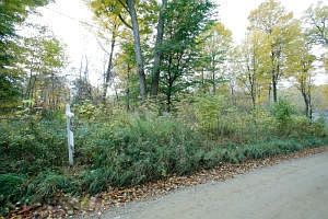 1st image of 1194 108th Ave