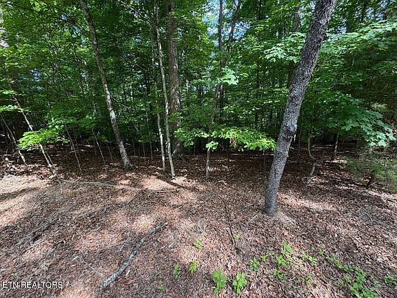 3rd image of Beechwood Dr #3