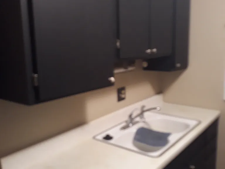 414 Sarah Dr — Photo 11