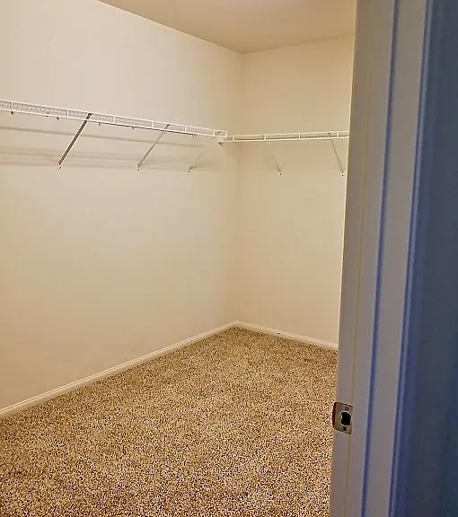 168 Fulgora St — Photo 22