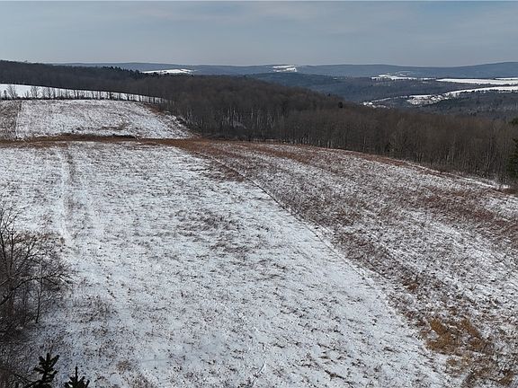 5th image of 55 Kimble Rd