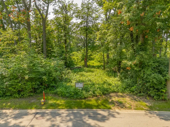 26419 N Farwell Rd, Mettawa, IL 60045