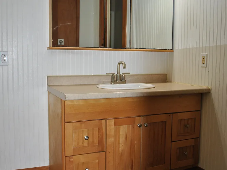 Huge Hall Bath with vanity and linen closet