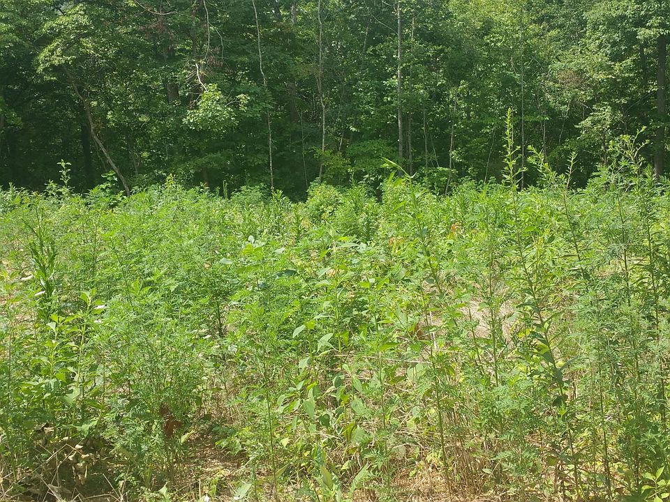 1st image of Dogwood Trl E
