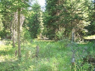 4th image of Warland Creek Road