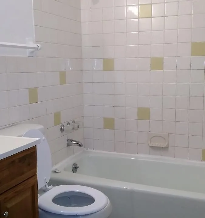 Bath Shower