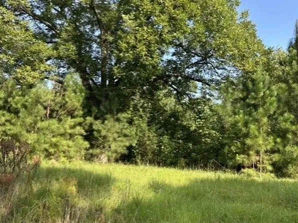 806 Pea Ridge Rd, Juliette, GA 31046