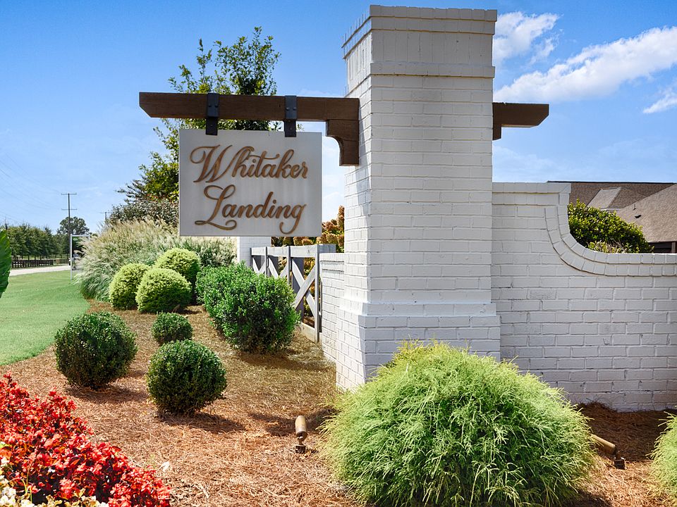 Whitaker Landing Community Photography