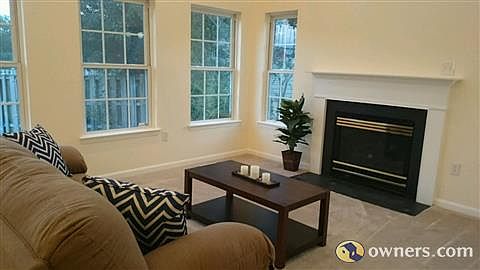 Gas fireplace in living room.