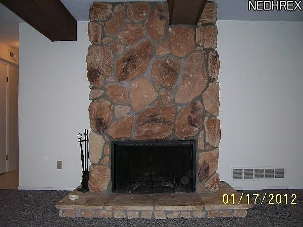 wood burning fireplace