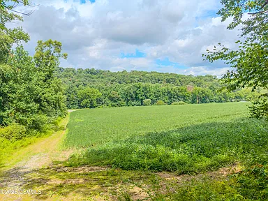 Property photo 43