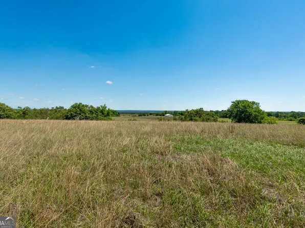 167 Hayes Rd, Mauk, GA 31058