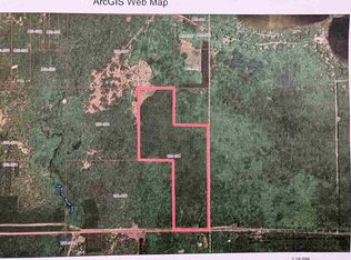 8959 Robinson Rd, Pellston, MI 49769