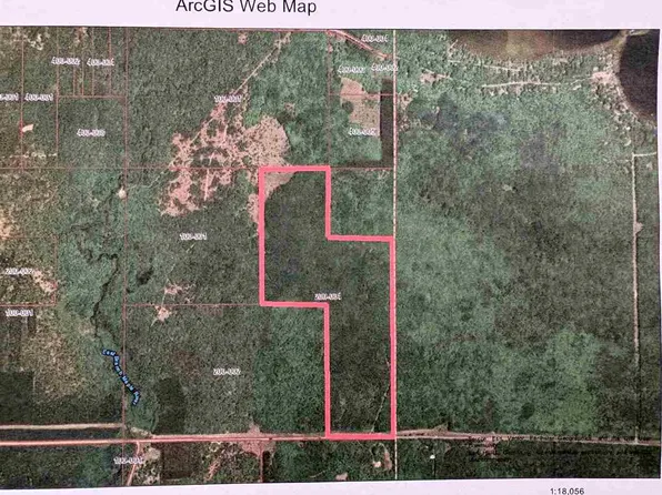 8959 Robinson Rd, Pellston, MI 49769