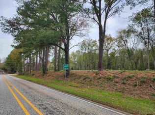 LOT 1 NE County Road 363, Winona, TX 75792