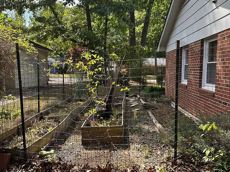 4120 Toroella St — Photo 12