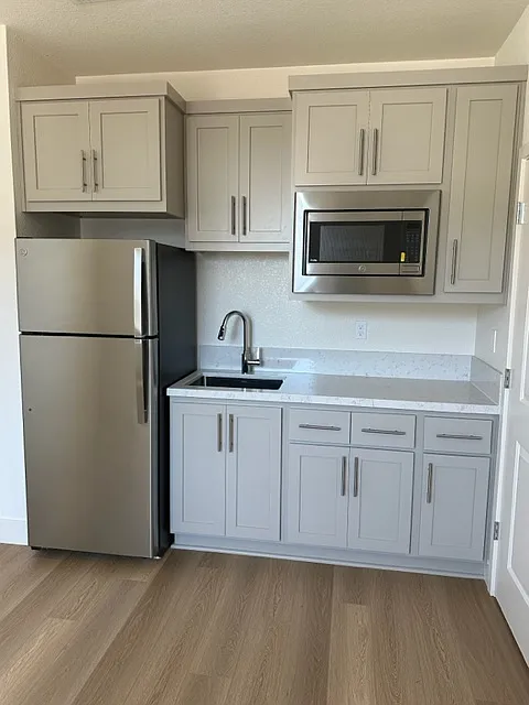 1 bed, 530 sqft, $1,450 — Photo 4