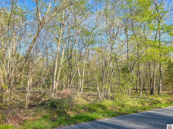 0 Fort Leisure Trl, Gilbertsville, KY 42044
