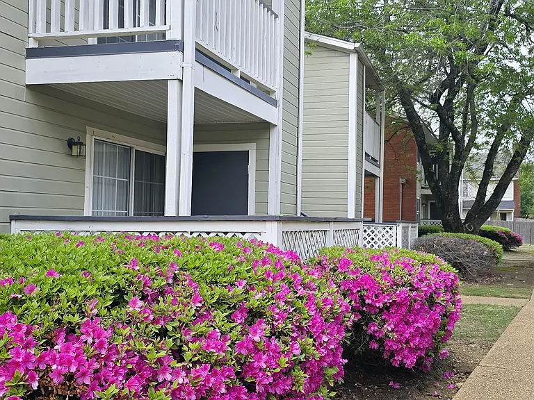 Northtown Apartments — Photo 8