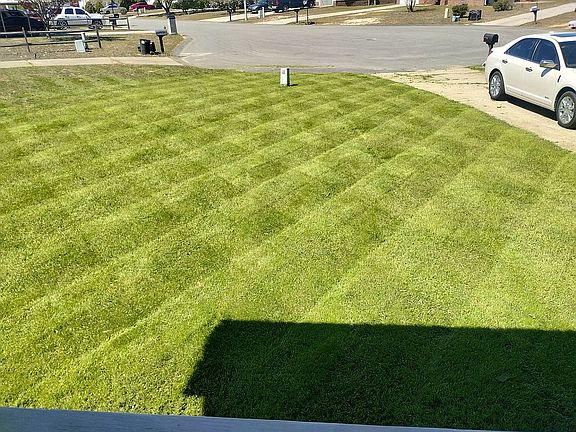 Front Yard from Porch view