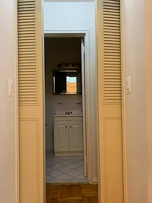 Rented by Manhattan Flats | media 34