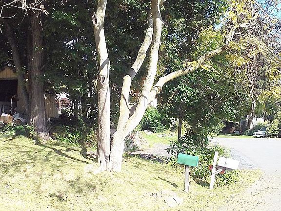 N.E. Cor.  At Mailboxes