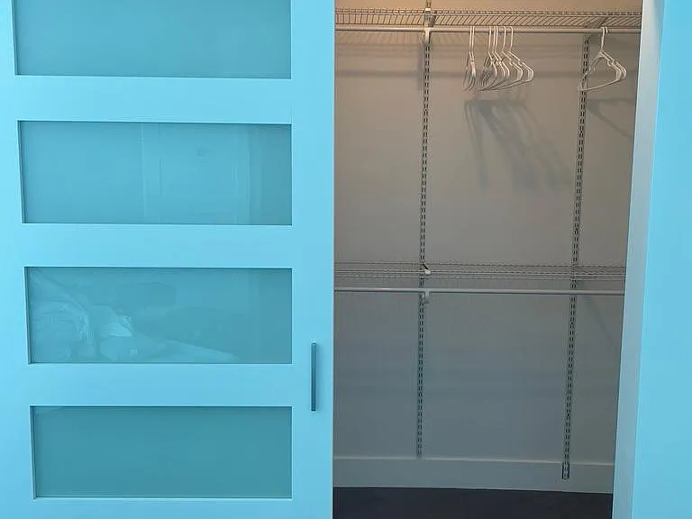 Walk-in closet in master bedroom