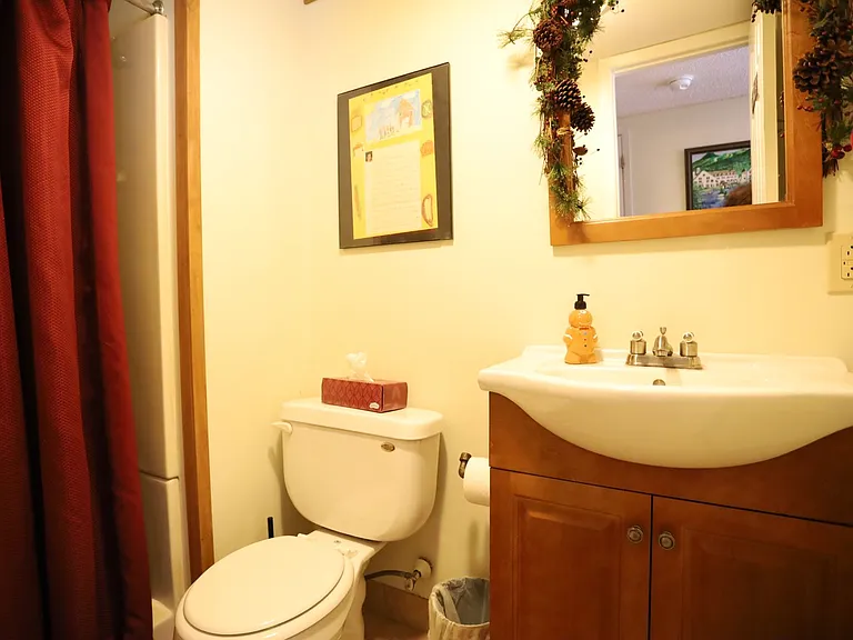 29 Mountain Brook Way #1 — Photo 10